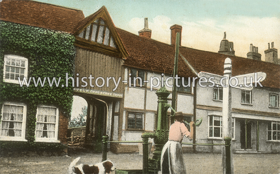 Town Pump, Hatfield Broad Oak, Essex. c.1908